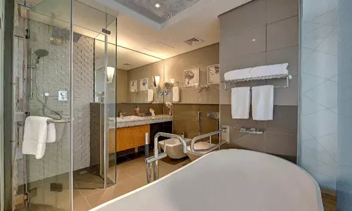 هتل رویال کنتیننتال دبی